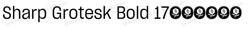 Sharp Grotesk Bold 17字体转换